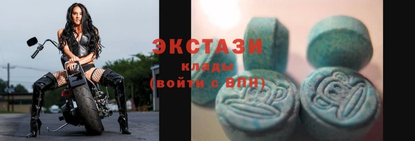 мет Алексин