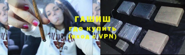 мет Алексин