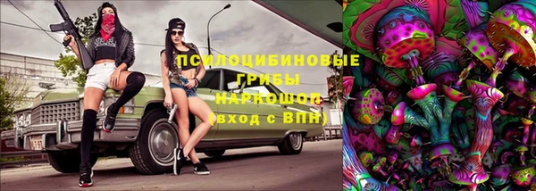 мет Алексин