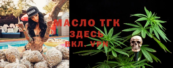 мет Алексин